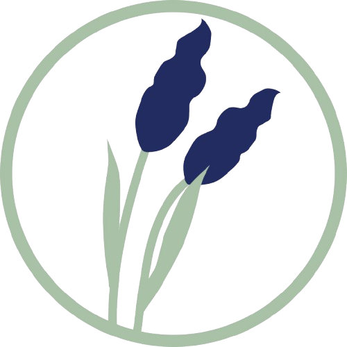 new logo removed background